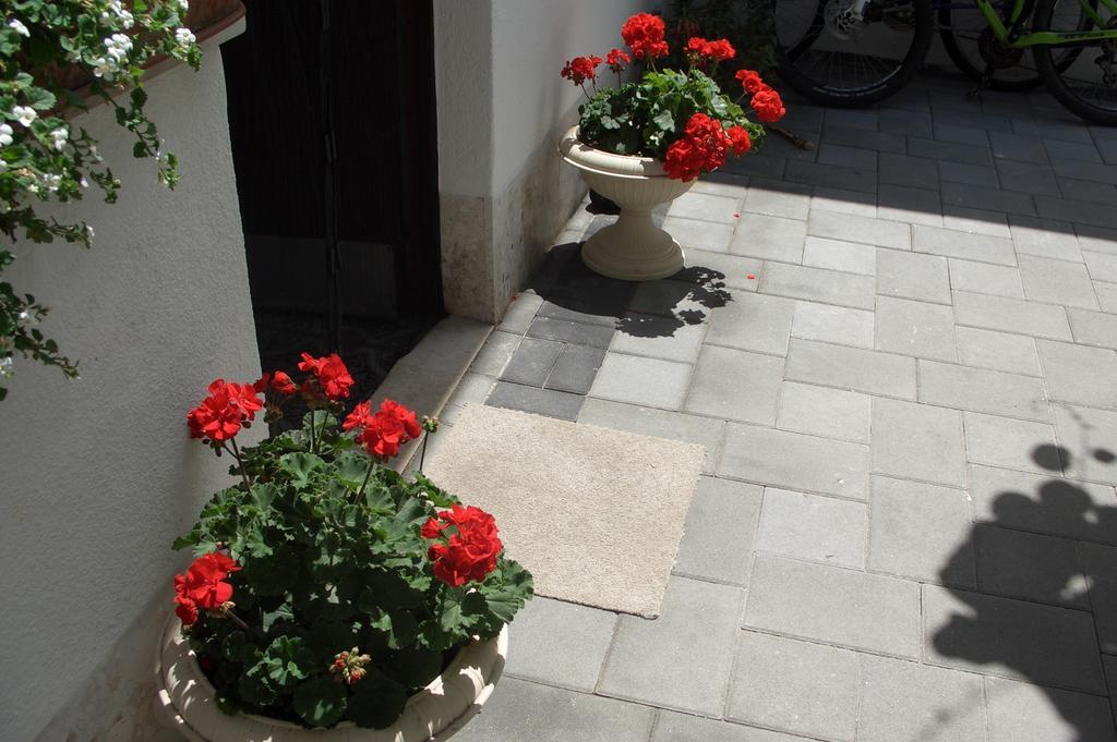 Apartment Vesna Zadar Oda fotoğraf
