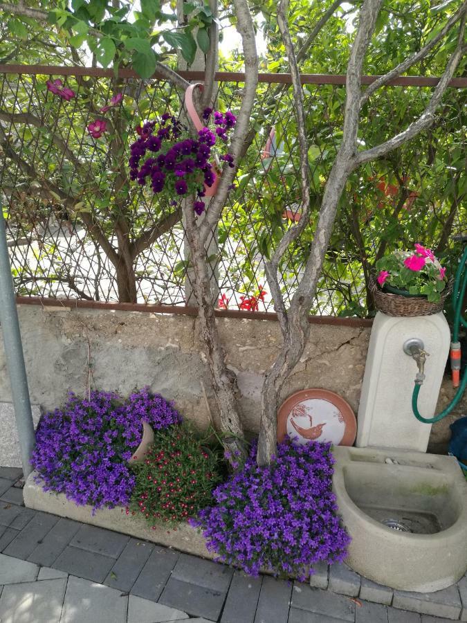 Apartment Vesna Zadar Dış mekan fotoğraf
