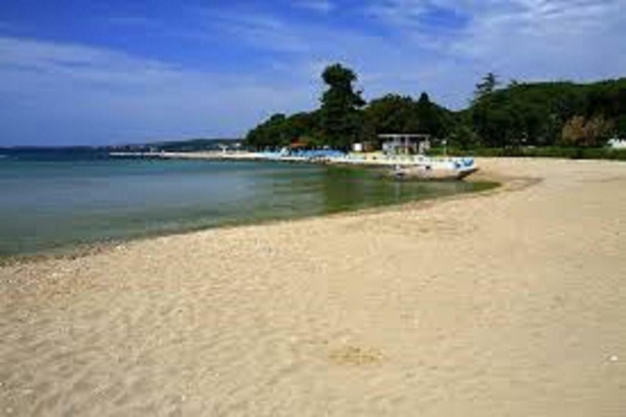 Apartment Vesna Zadar Dış mekan fotoğraf